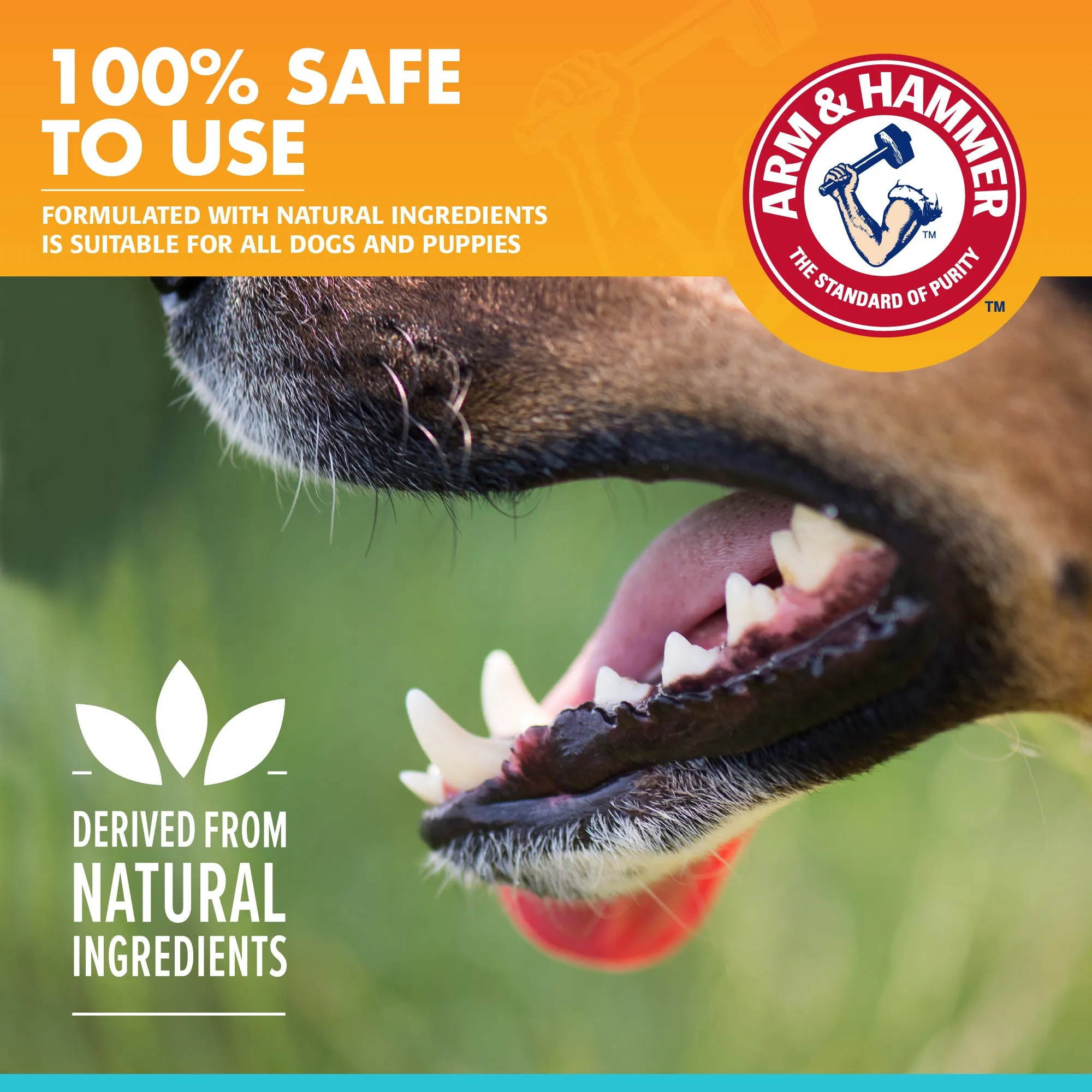 Arm and Hammer Fresh Breath Enzymatic Toothpaste for Dogs Chicken