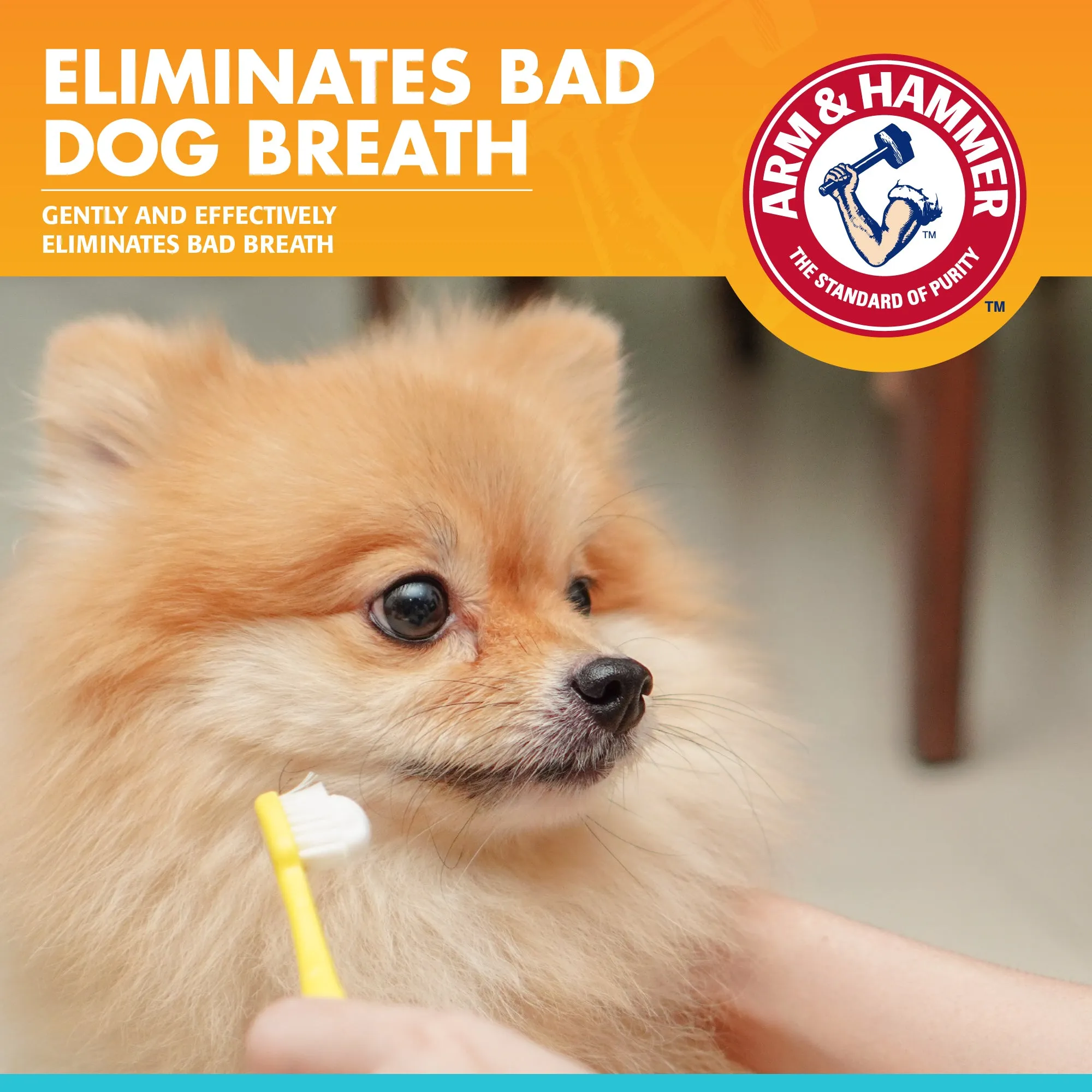 Arm and Hammer Fresh Breath Enzymatic Toothpaste for Dogs Chicken