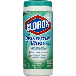 Clorox Commercial Solutions Disinfecting Wipes(35 ct)