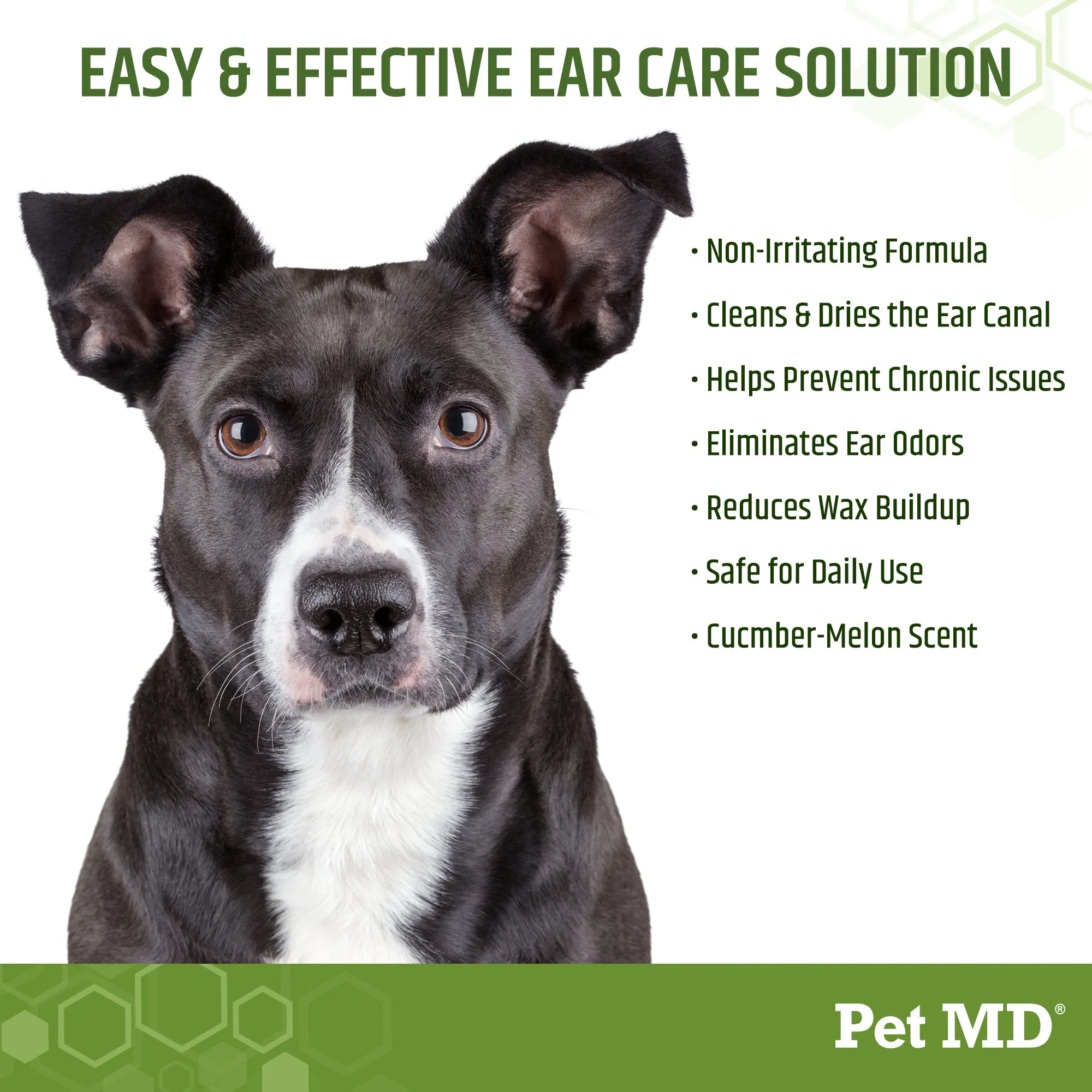 Ear Wipes with Aloe Vera and Eucalyptus for Dogs - 100 Count