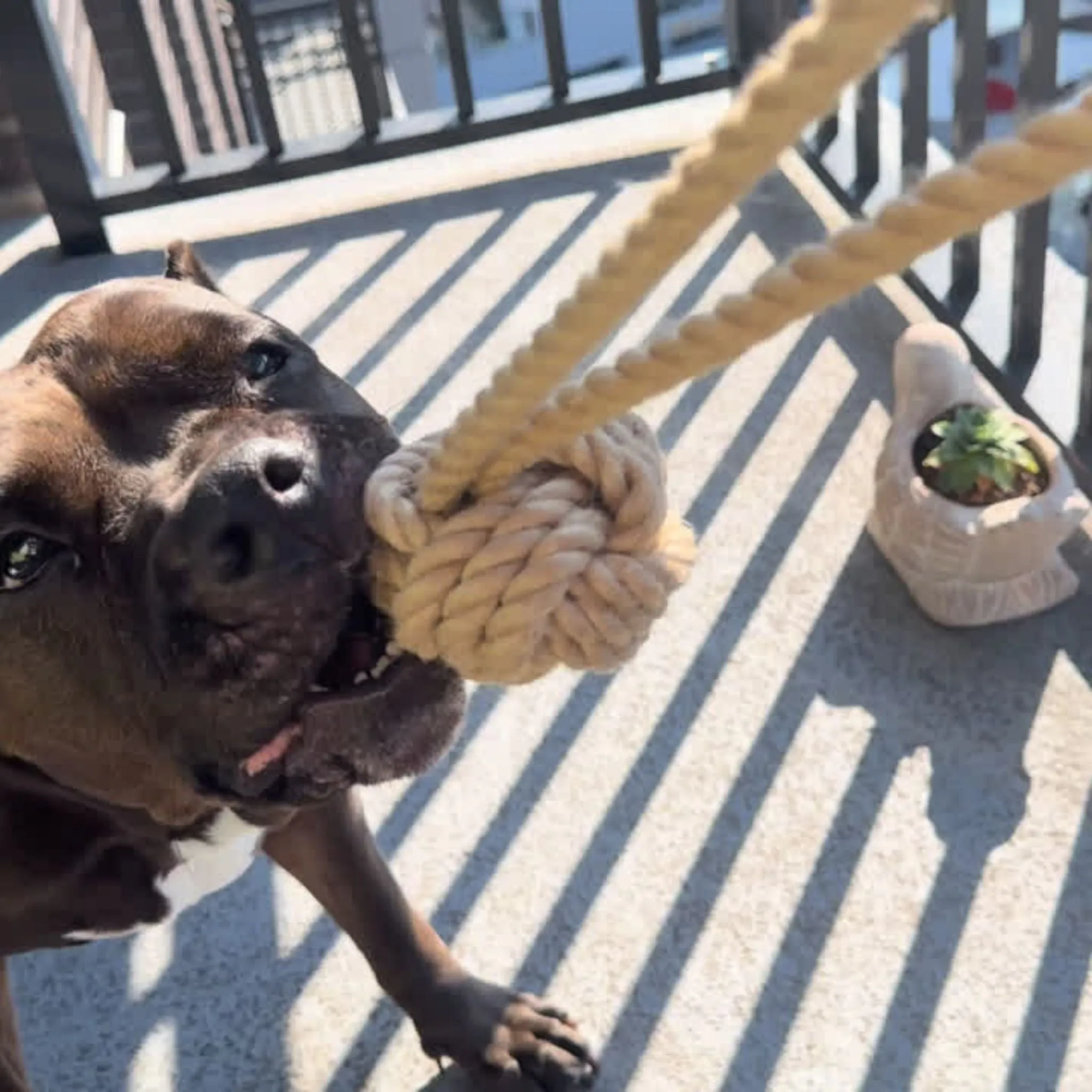 Natural Hemp Tug Rope Ball