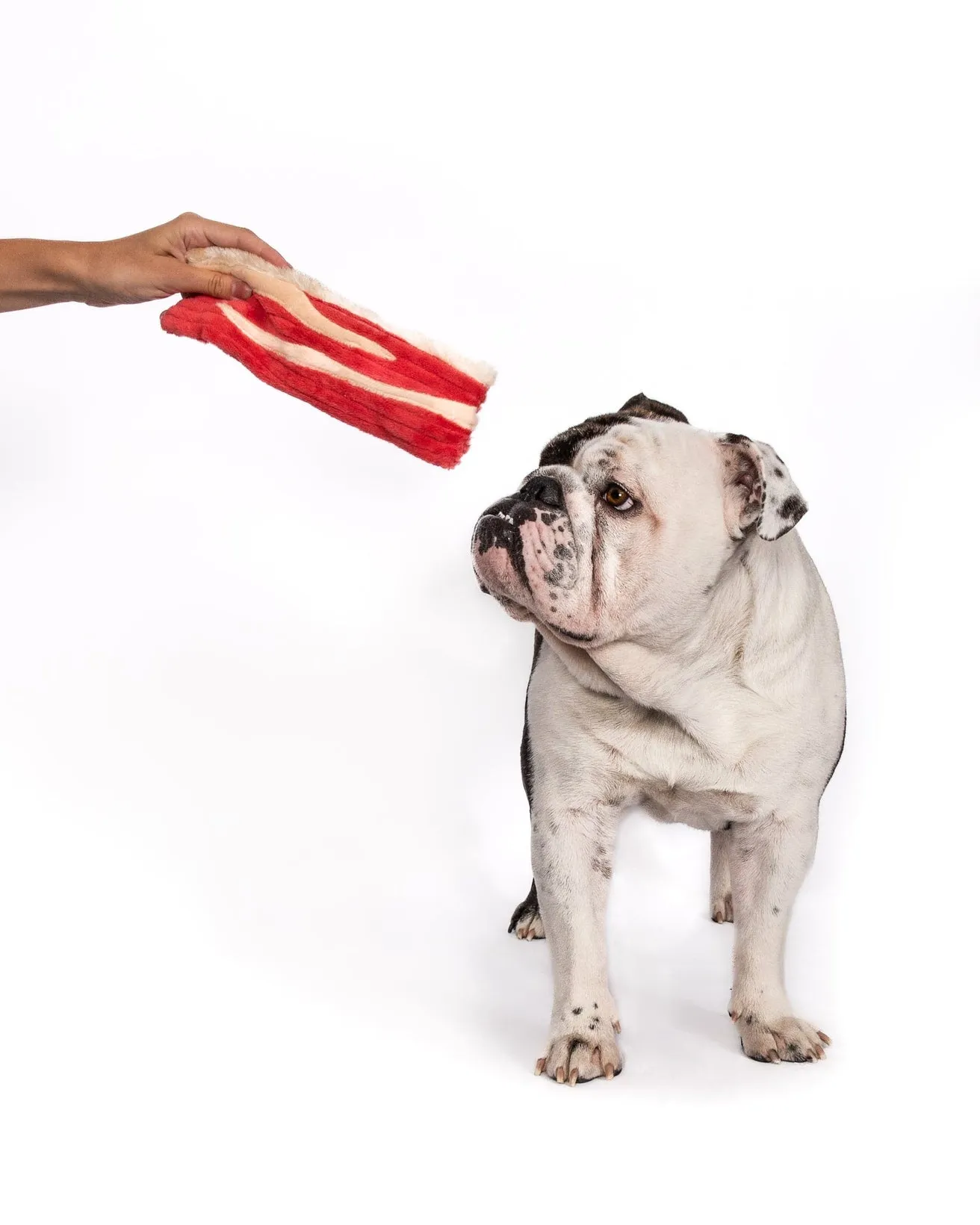 Packaged 3 Strips of Bacon Dog Toy from Fabdog