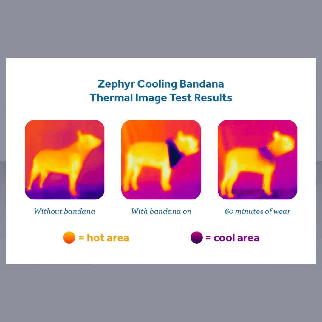 RC Pet Zephyr Cooling Bandana Aqua S/M