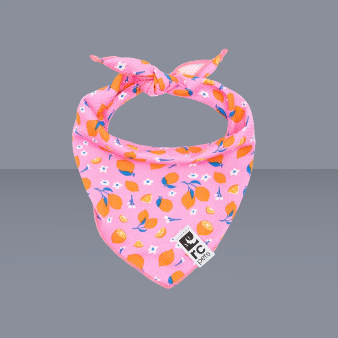 RC Pet Zephyr Cooling Bandana Zesty M/L