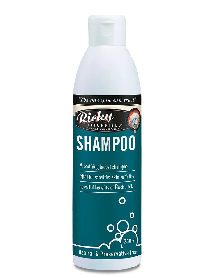 Ricky litchfield buchu shampoo 250ml